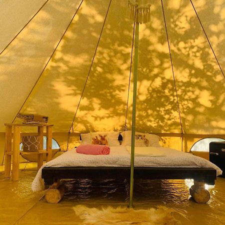 فندق The Story Garden Corbi المظهر الخارجي الصورة