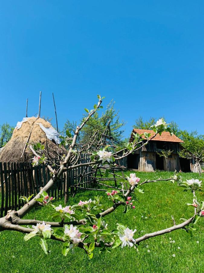 فندق The Story Garden Corbi المظهر الخارجي الصورة
